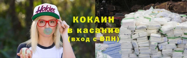 твердый Лиски