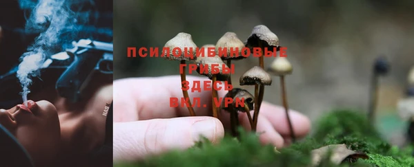 apvp Тобольск